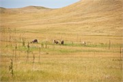 445-57-BadlandsSD