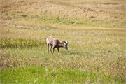 447-59-BadlandsSD