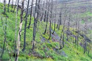 030-39-GoingToTheSunRoad