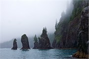 074-05-KenaiFjordFoxIsland