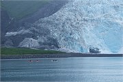 077-19-KenaiFjordFoxIsland