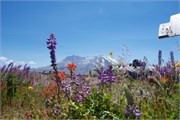 110-13-MtStHelens
