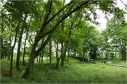05-FortGrangerTN