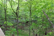 05-BlackRiverFallsWI