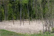12-N_CountryNatlTrailWI