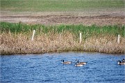 06-BeaudryPrkManitoba