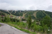 03-SchweitzerID