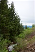 04-SchweitzerID