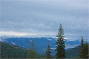 11-SchweitzerID