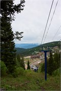 17-SchweitzerID