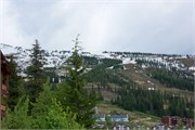 28-SchweitzerID