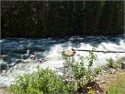 004-MarbleCreek2-ID