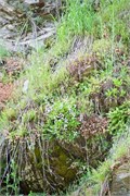 107-MarbleCreek2-ID