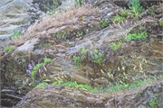 108-MarbleCreek2-ID