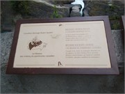 16-NaturalBridge
