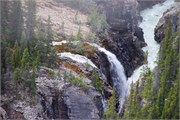 20-IcefieldCenterJasper
