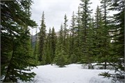 15-IcefieldParkway