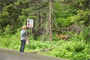 27-GoingToTheSunRoad