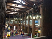 14-GlacierParkLodge