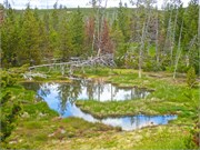 14-Yellowstone1stDay