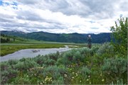 37-Yellowstone1stDay