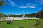 09-YellowstoneDay2