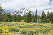 24-GrandTetonSusan