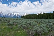 29-GrandTetonSusan