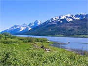 60-GrandTetonSusan