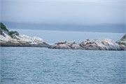 19-GlacierBay2017