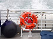 02-KenaiFjordFoxIsland