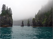 03-KenaiFjordFoxIsland