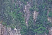 07-KenaiFjordFoxIsland