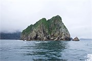 08-KenaiFjordFoxIsland