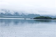 28-KenaiFjordFoxIsland