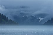 31-KenaiFjordFoxIsland