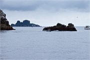 37-KenaiFjordFoxIsland