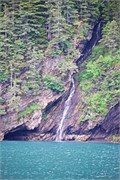 48-KenaiFjordFoxIsland