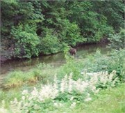 15-SewardToAnchorage