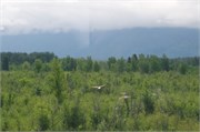 16-TrainToDenali