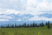 27-TrainToDenali