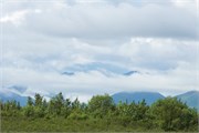 31-TrainToDenali