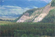 40-TrainToDenali