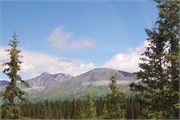 53-TrainToDenali