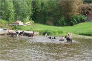 17-RiverboatDiscoveryIII
