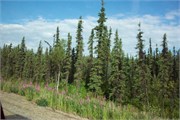06-DaltonHwyArcticCircle