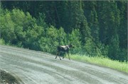 20-DaltonHwyArcticCircle
