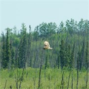 42-DaltonHwyArcticCircle