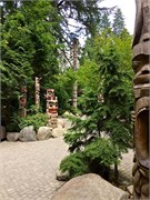 05-Capilano-GrosseMtn