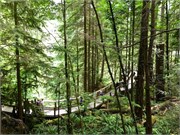 17-Capilano-GrosseMtn